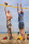 Beachvolleyball Freizeitnetz 9,5 m