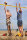 Beachvolleyball Freizeitnetz 8,5 m